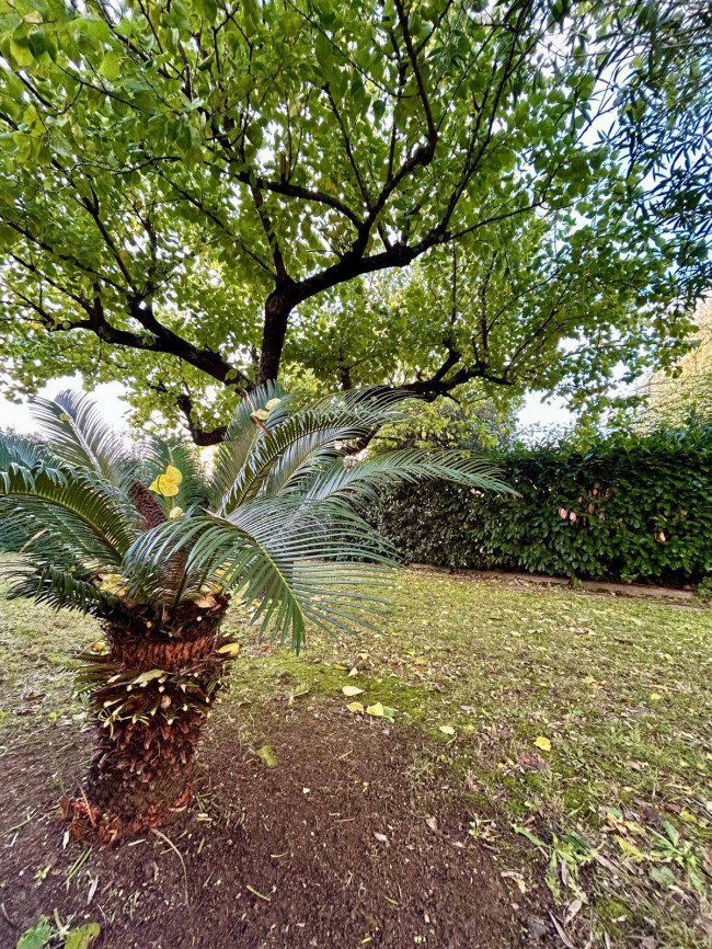 Appartamento in affitto a Pisa