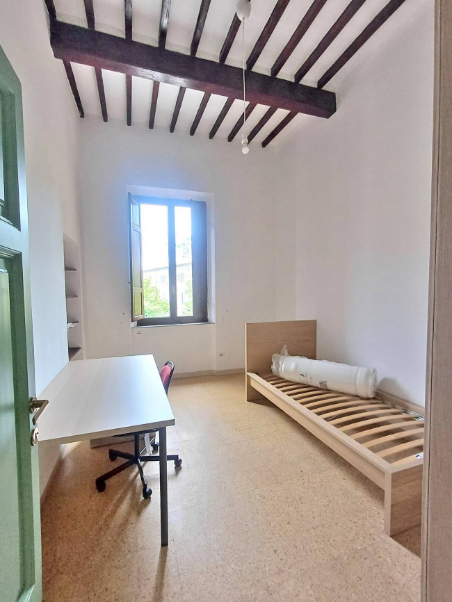 Appartamento in affitto a Pisa