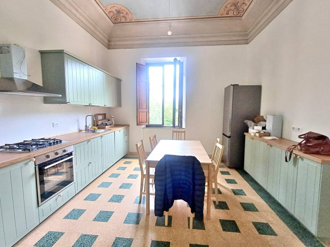 Appartamento in affitto a Pisa