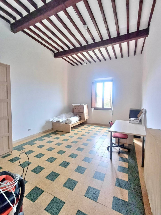 Appartamento in affitto a Pisa