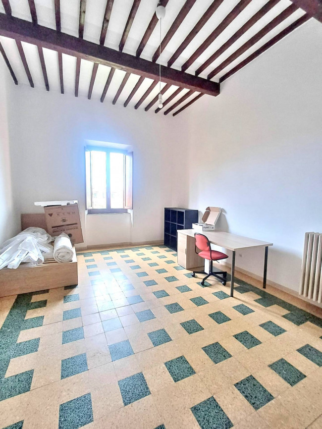 Appartamento in affitto a Pisa