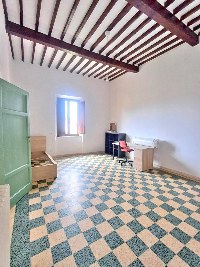 Appartamento in affitto a Pisa