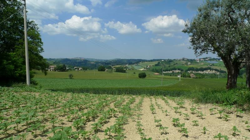 Rustico - Cascina MONTELEONE DI FERMO vendita    Marini Immobiliare