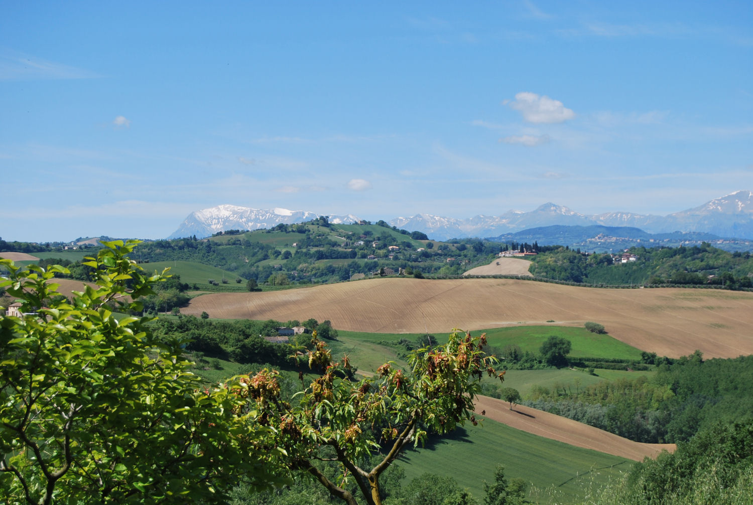 Rustico - Cascina MONTE GIBERTO vendita    Marini Immobiliare