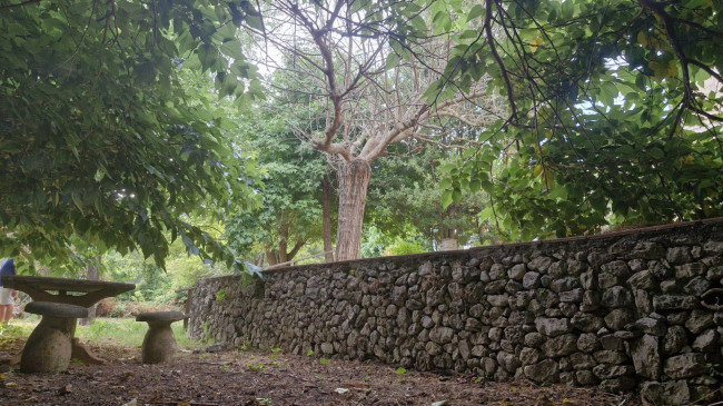 Villa bifamiliare in Vendita a Camaiore