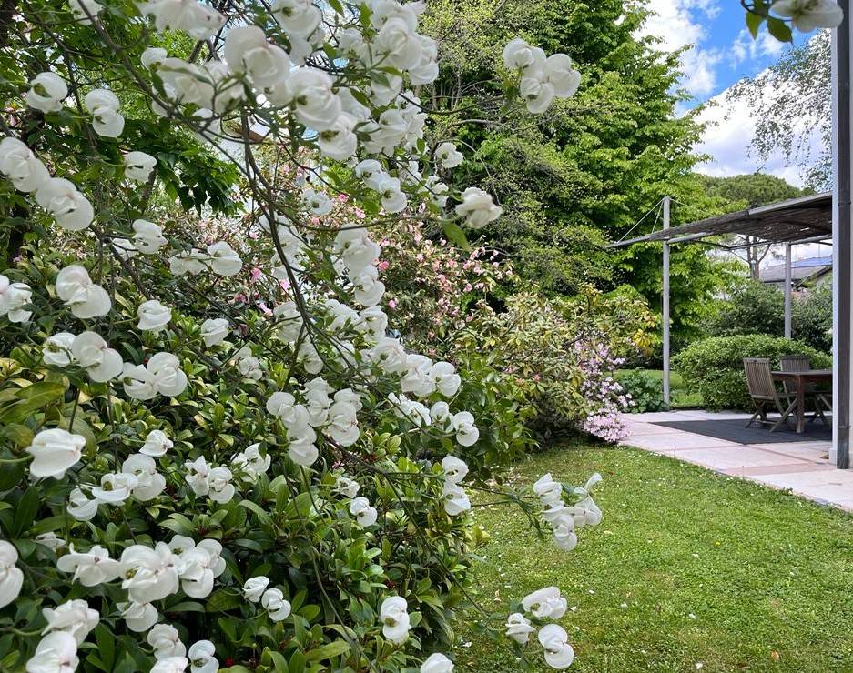 Abbinata/Bifamiliare in Vendita a Treviso - Cod. 6067