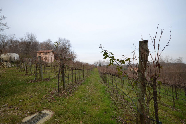 Terreno Agricolo in Vendita a Nervesa della Battaglia