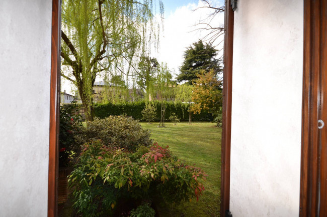 Mini in Vendita a Treviso