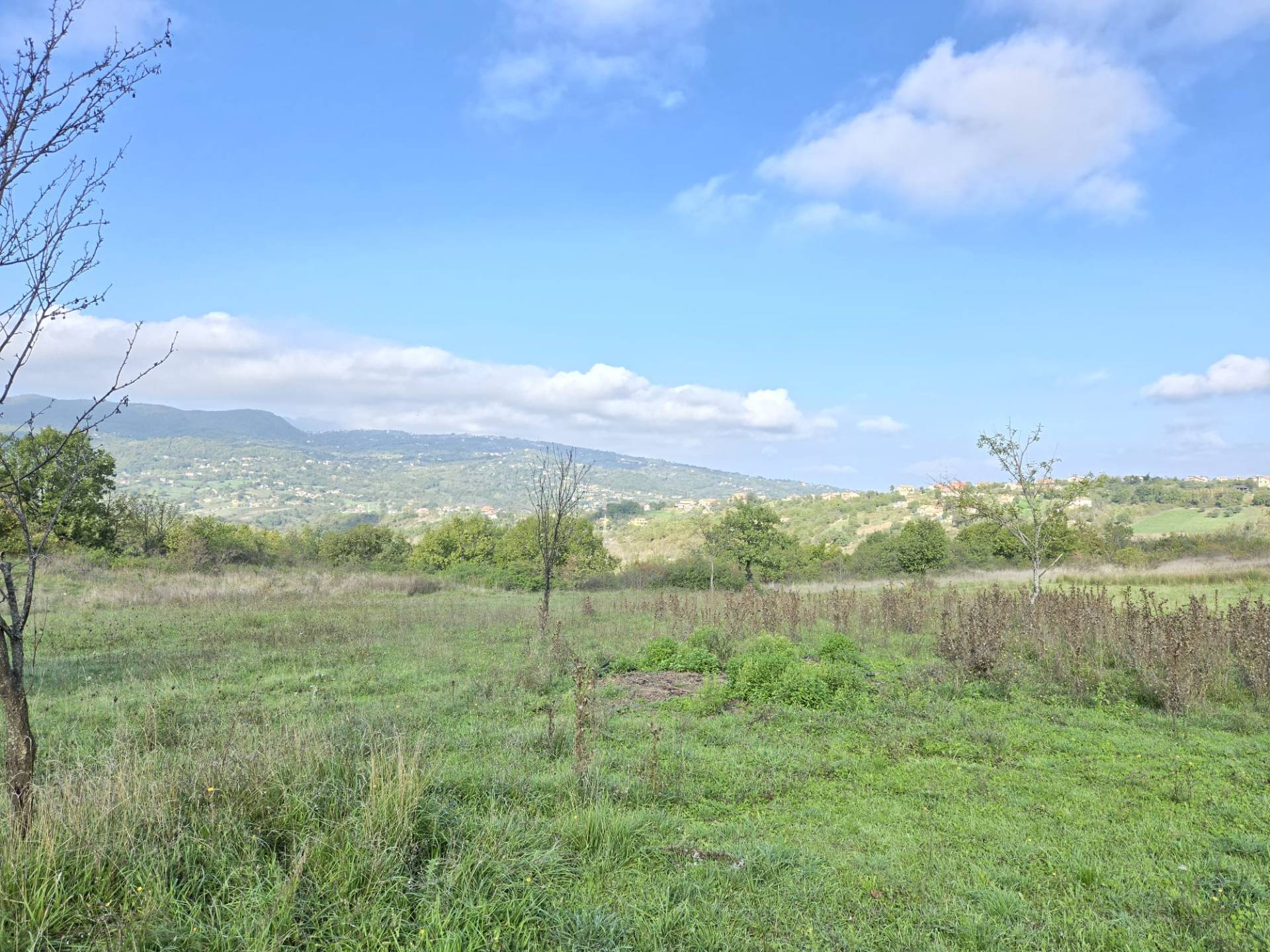 Terreno agricolo in vendita a Nusco (AV)