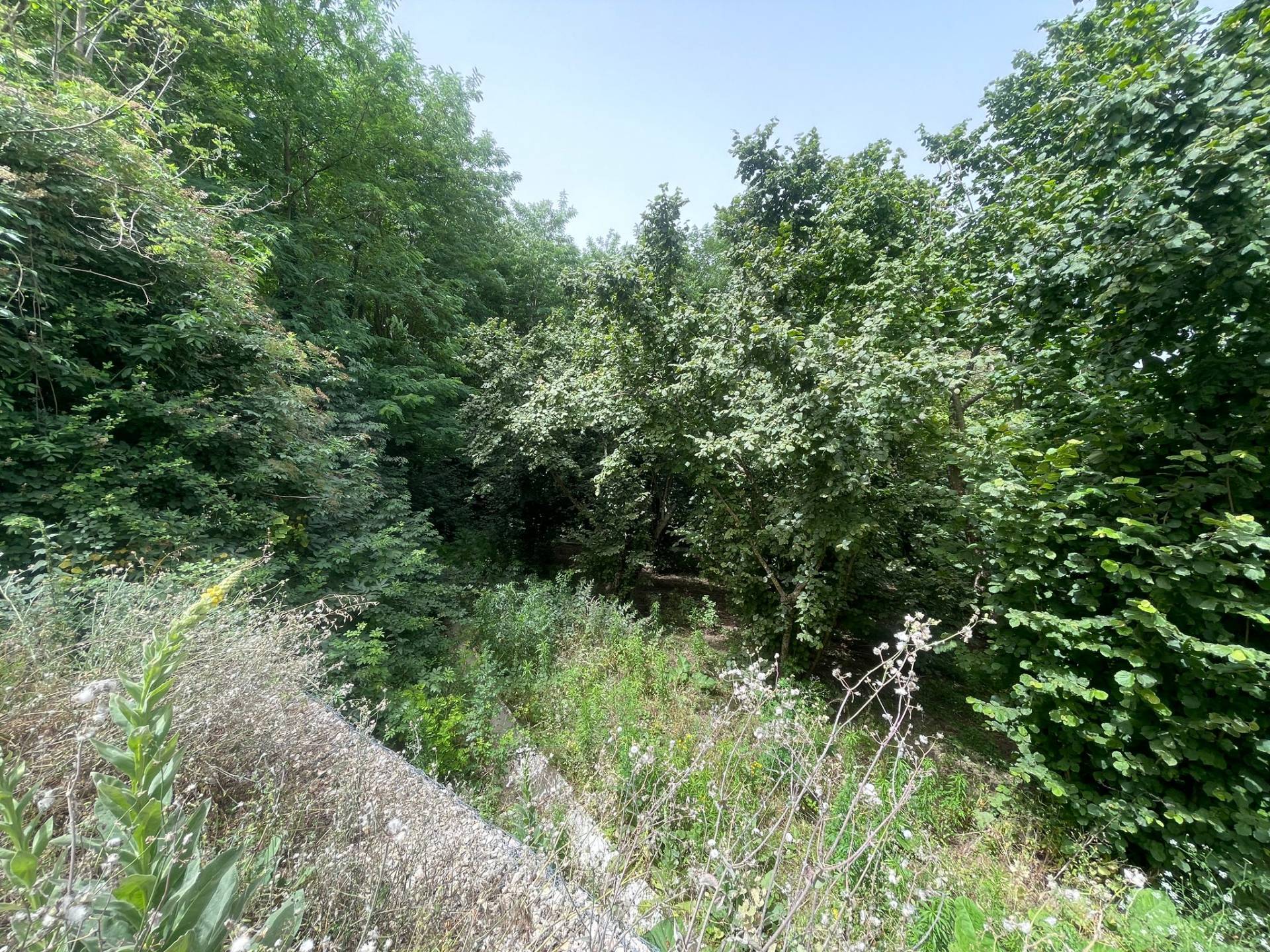 Villa in vendita a Atripalda (AV)