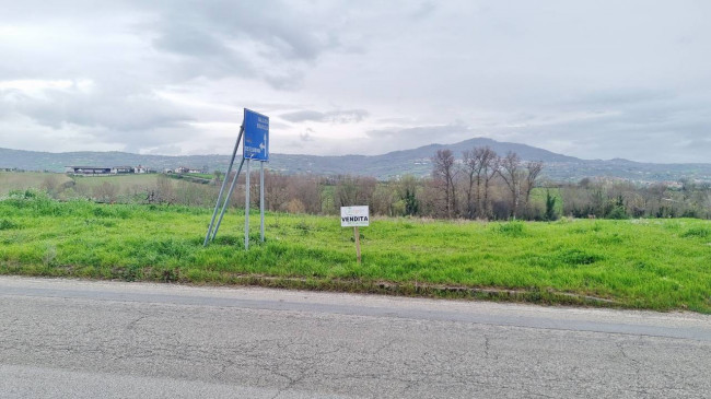 Terreno agricolo in vendita a Castel Baronia (AV)