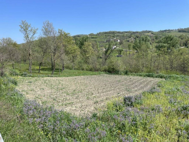 Terreno agricolo in vendita a Montemarano (AV)