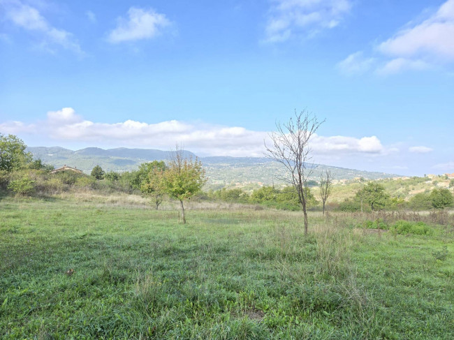 Terreno agricolo in vendita a Nusco (AV)