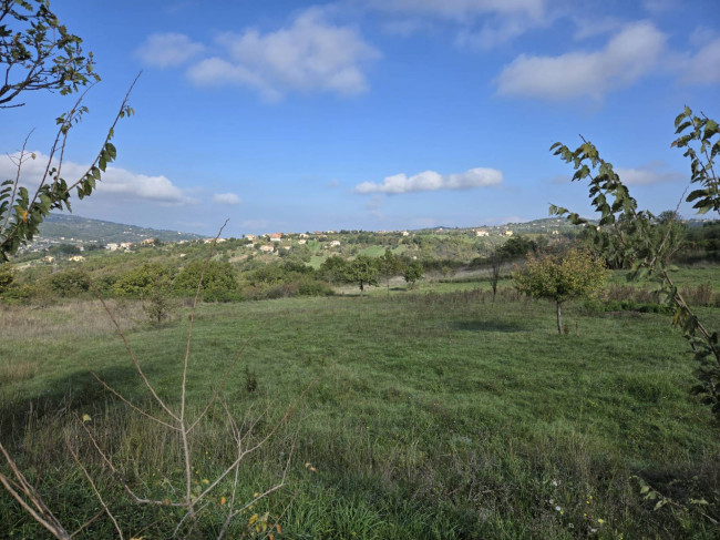 Terreno agricolo in vendita a Nusco (AV)