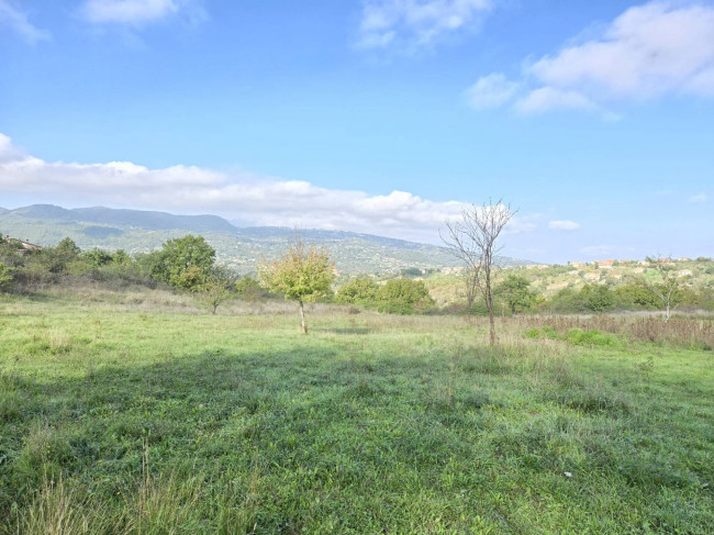 Terreno agricolo in vendita a Nusco (AV)