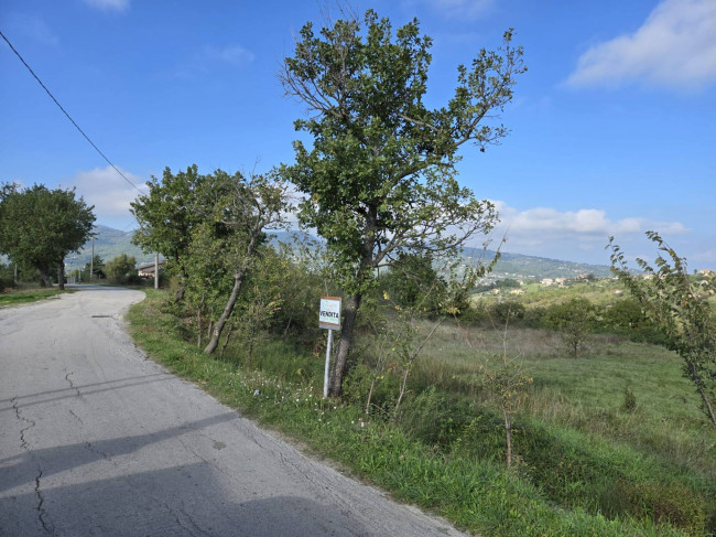 Terreno agricolo in vendita a Nusco (AV)