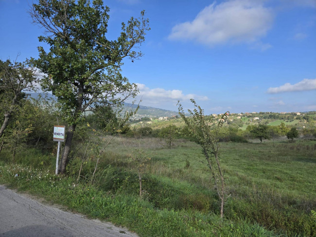 Terreno agricolo in vendita a Nusco (AV)