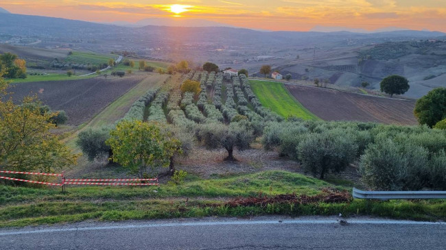 Terreno agricolo in vendita a Villanova Del Battista (AV)