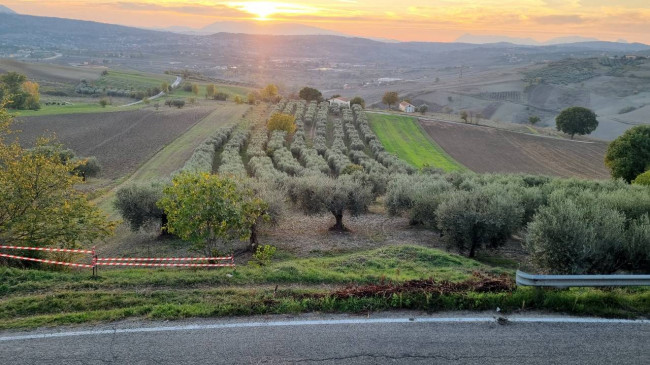 Terreno agricolo in vendita a Villanova Del Battista (AV)