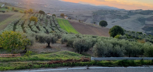 Terreno agricolo in vendita a Villanova Del Battista (AV)