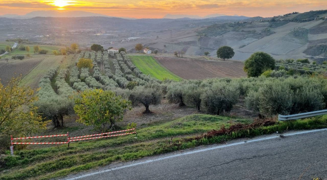 Terreno agricolo in vendita a Villanova Del Battista (AV)