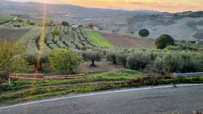 Terreno agricolo in vendita a Villanova Del Battista (AV)