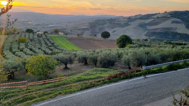 Terreno agricolo in vendita a Villanova Del Battista (AV)