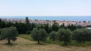 Terreno edificabile a Tortoreto