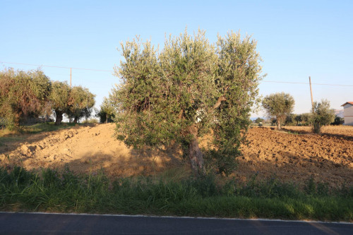 Terreno edificabile a Controguerra