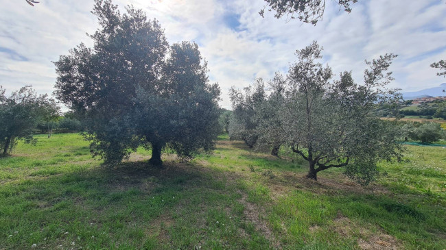 Casa semi-indipendente in vendita a Mosciano Sant'angelo (TE)