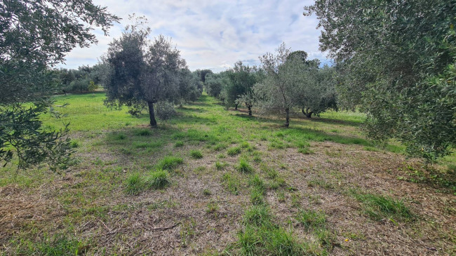 Casa semi-indipendente in vendita a Mosciano Sant'angelo (TE)