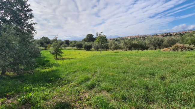 Casa semi-indipendente in vendita a Mosciano Sant'angelo (TE)