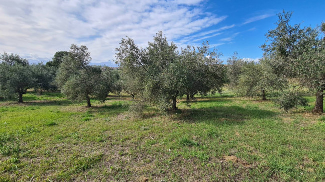 Casa semi-indipendente in vendita a Mosciano Sant'angelo (TE)