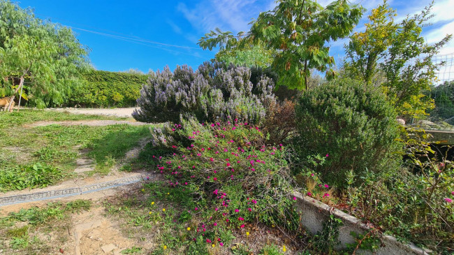 Casa semi-indipendente in vendita a Mosciano Sant'angelo (TE)