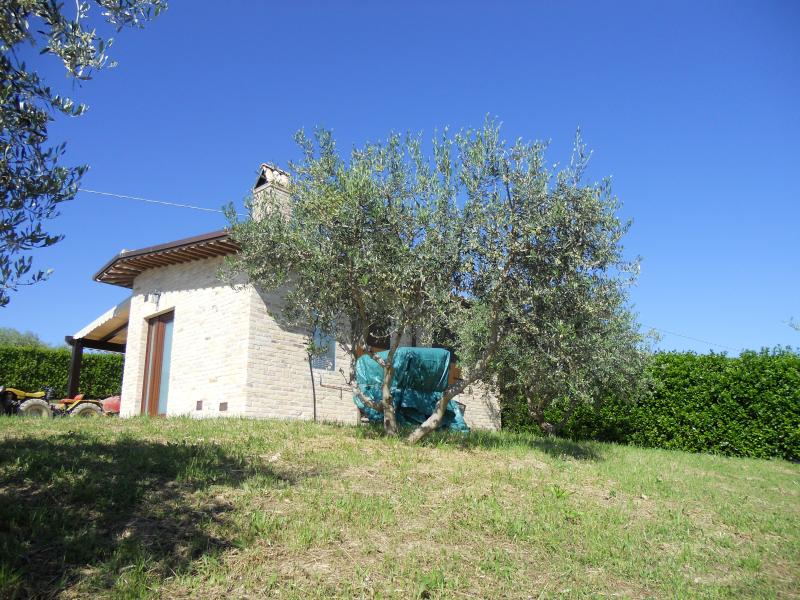  offida vendita quart:  immobiliare-mare-e-colline-srl