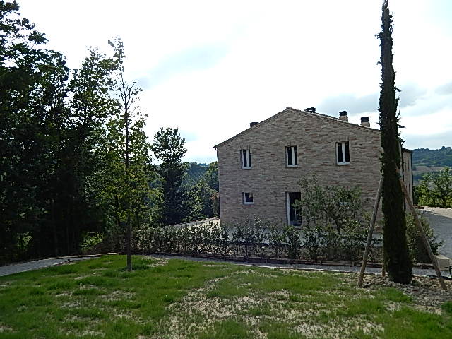 Appartamento MONTERUBBIANO vendita    Immobiliare Mare e Colline srl