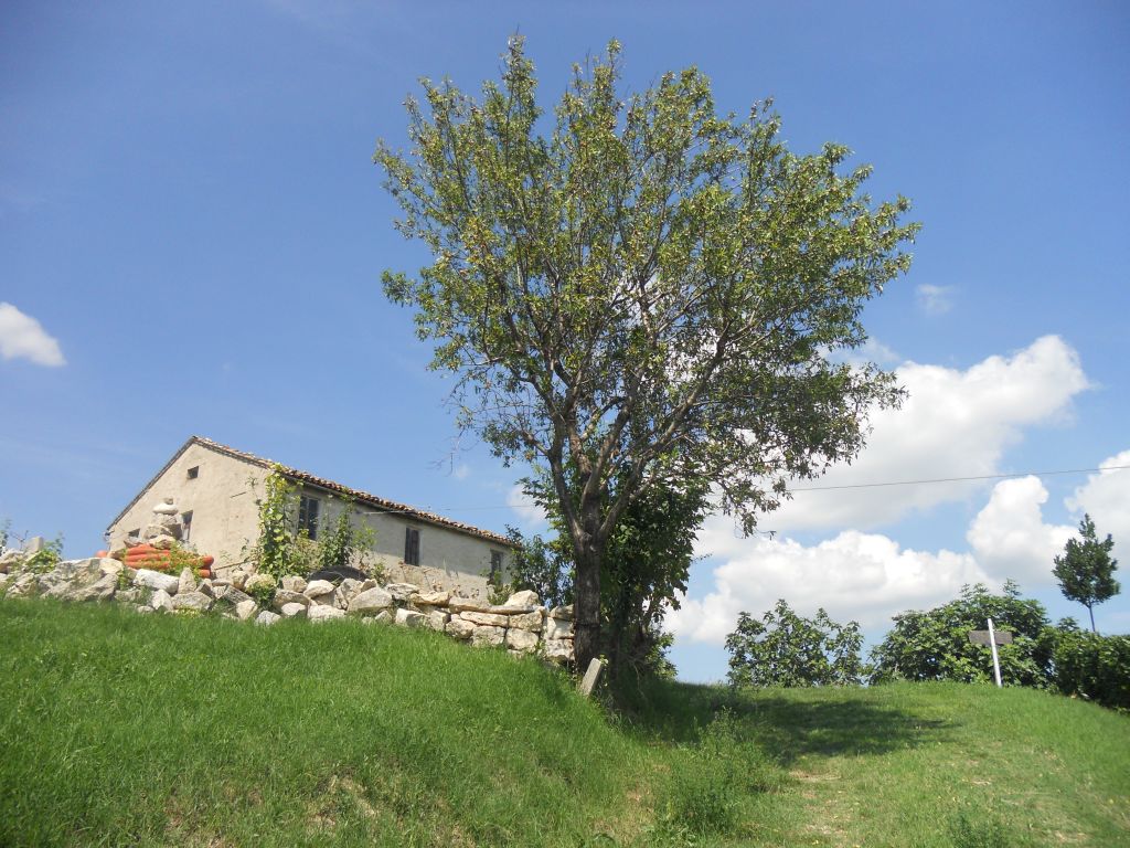 Rustico - Cascina OFFIDA vendita    Immobiliare Mare e Colline srl