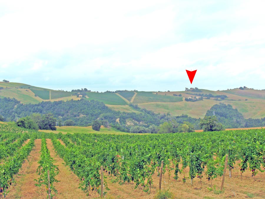 Rustico - Cascina ROTELLA vendita  Poggio Canoso  Immobiliare Mare e Colline srl