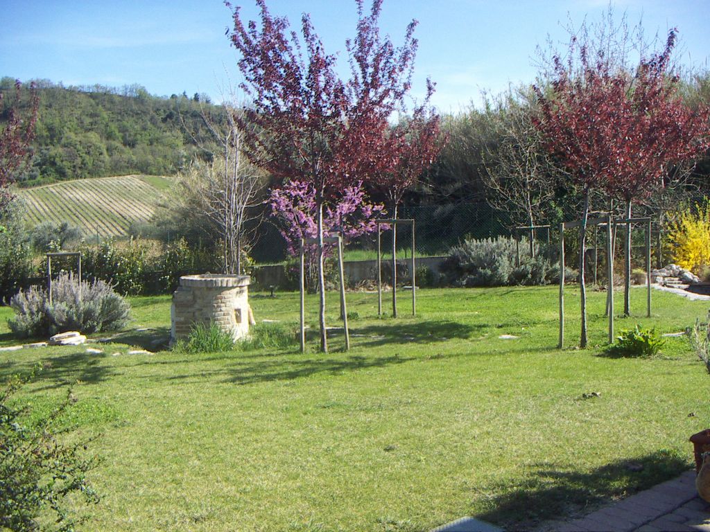 Rustico - Cascina RIPATRANSONE vendita    Immobiliare Mare e Colline srl