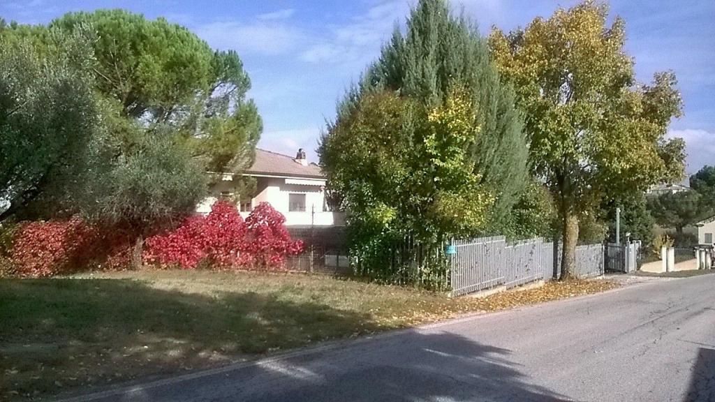Villa Unifamiliare - Indipendente PETRIOLO vendita    Immobiliare Mare e Colline srl