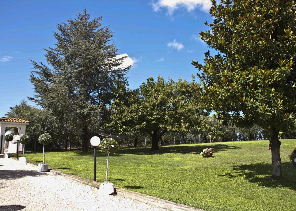 Villa Unifamiliare - Indipendente CUPRA MARITTIMA vendita    Immobiliare Mare e Colline srl