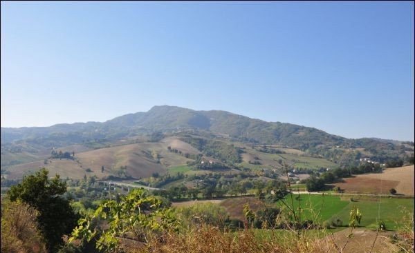 Rustico - Cascina ROTELLA vendita    Immobiliare Mare e Colline srl