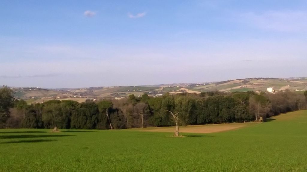  petriolo vendita quart:  immobiliare mare e colline srl