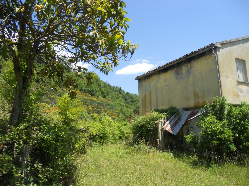 Rustico - Cascina ROTELLA vendita  Poggio Canoso  Immobiliare Mare e Colline srl