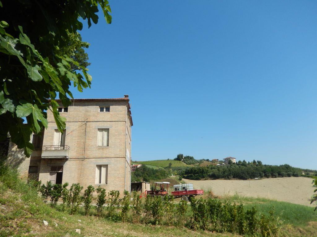 Rustico - Cascina OFFIDA vendita    Immobiliare Mare e Colline srl