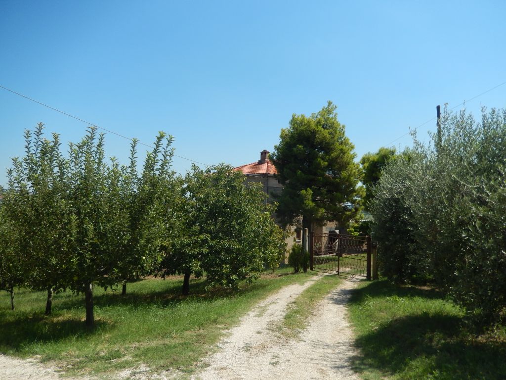 Rustico - Cascina OFFIDA vendita    Immobiliare Mare e Colline srl