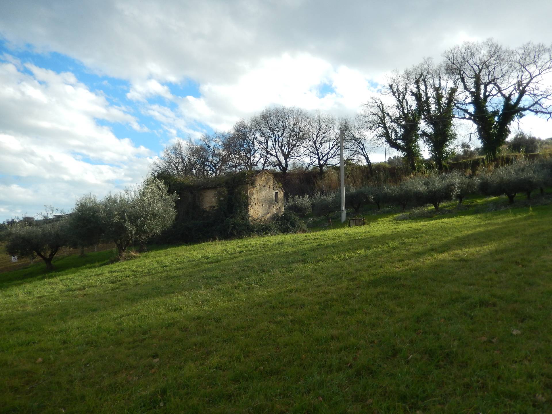 Rustico - Cascina MONTEPRANDONE vendita    Immobiliare Mare e Colline srl