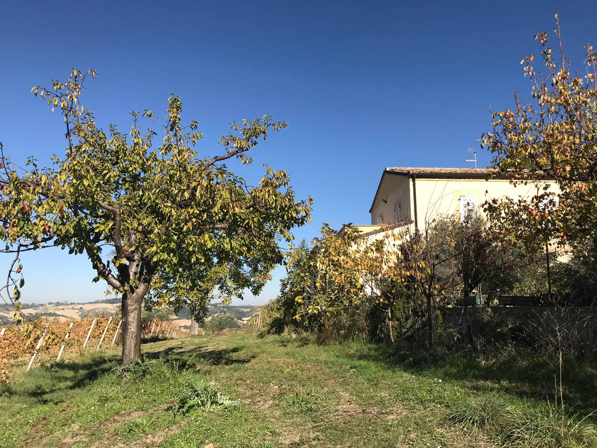 Rustico - Cascina ACQUAVIVA PICENA vendita    Immobiliare Mare e Colline srl