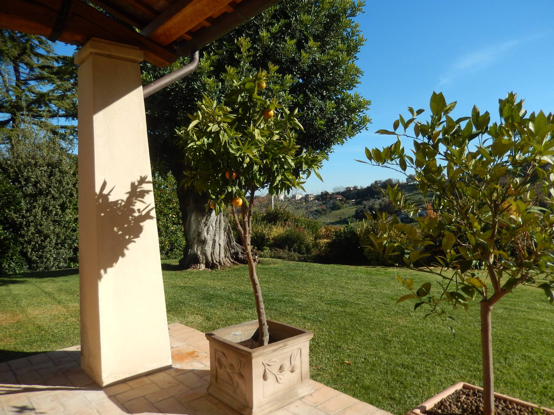 Villa LAPEDONA vendita    Immobiliare Mare e Colline srl