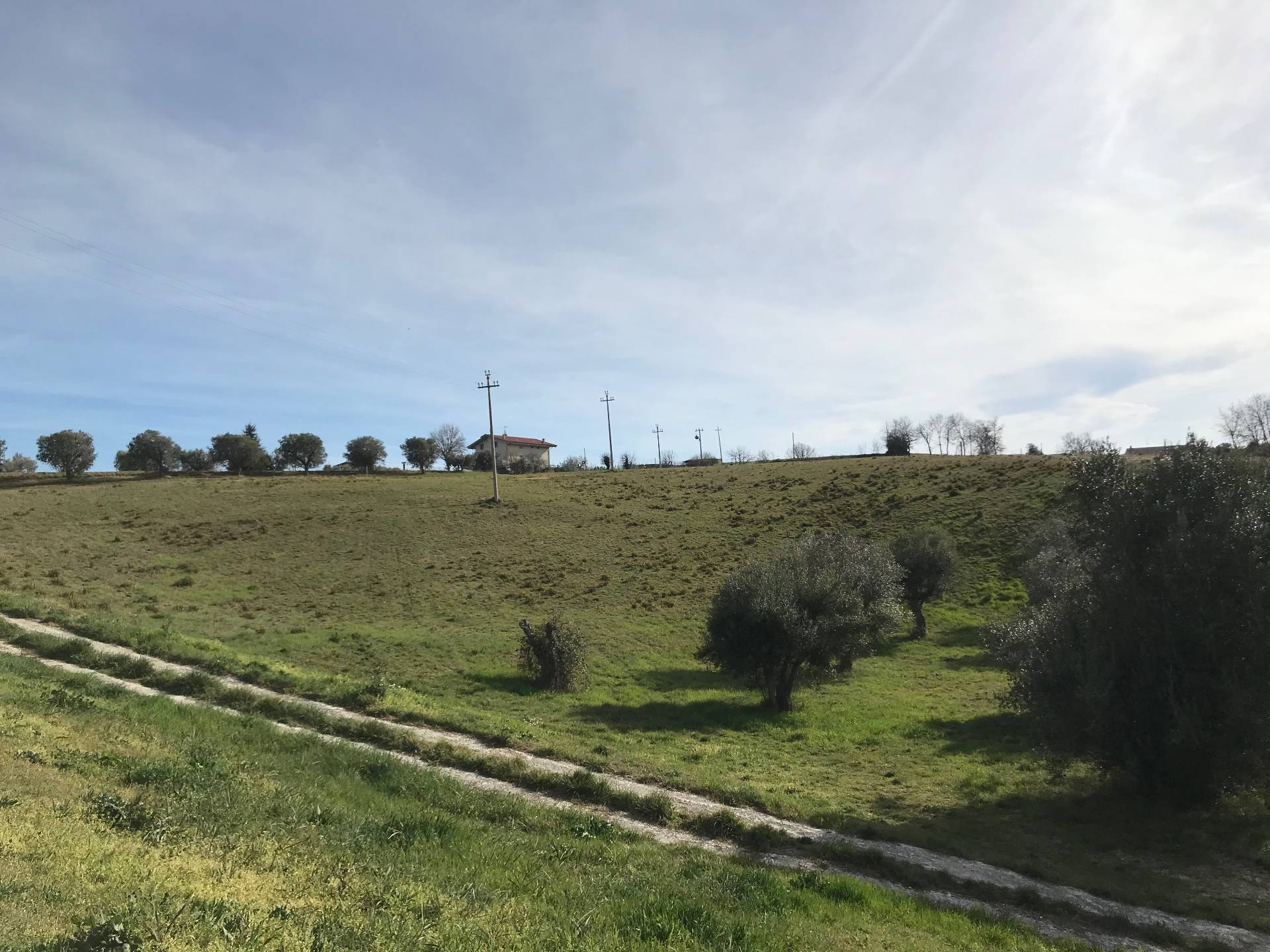 Rustico - Cascina CUPRA MARITTIMA vendita    Immobiliare Mare e Colline srl